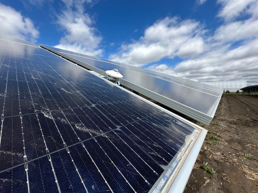 يقوم الباحثون في جامعة ولاية أيوا باختبار كيفية عمل خلط الزراعة مع الألواح الشمسية على قطعة أرض مساحتها 10 أفدنة.